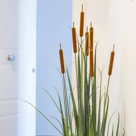 M'place Apartament Palermo